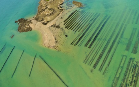 22.parc-à-huitre-arguenon