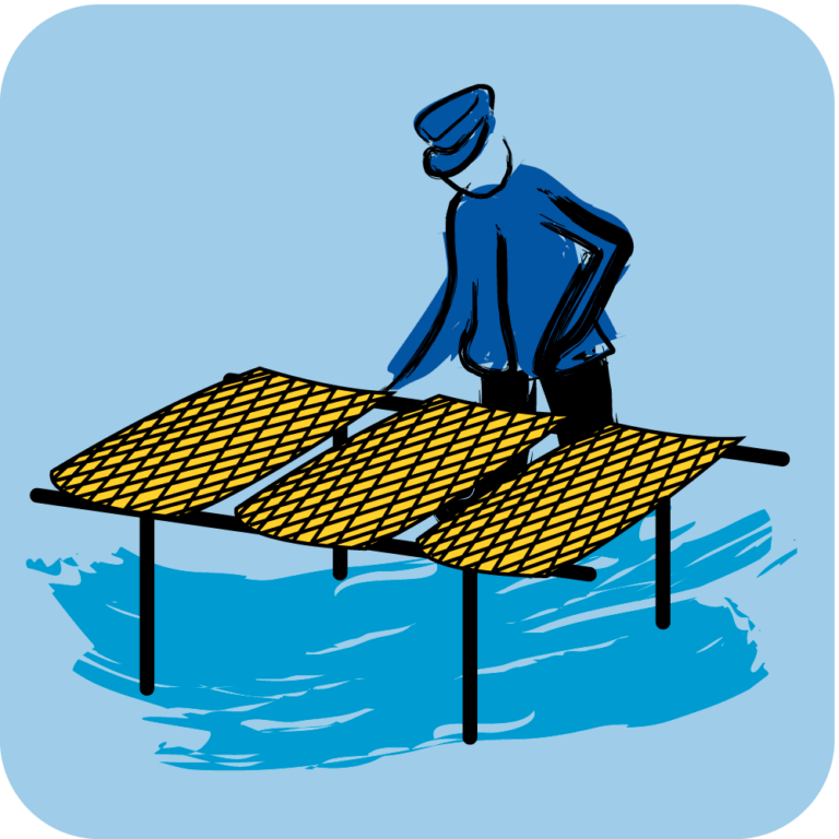 CONCHYLICULTURE COEUR Emeraude